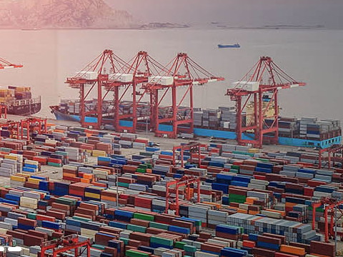 上海國際海運有哪些進口業務？