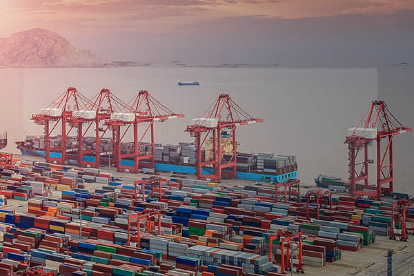 專業進出口代理公司